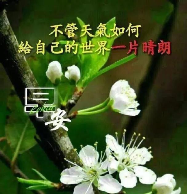 微信早安问候（用心一句话）