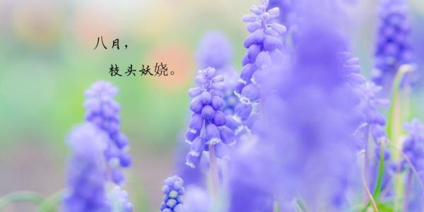 《离别七月，迎接八月的美好》