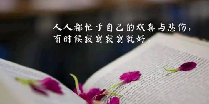 用短句诠释人生，感悟美好世界（用短句诠释人生）