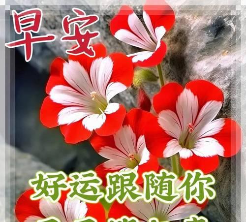周末清晨的诗意（用“早上好”串联美好）