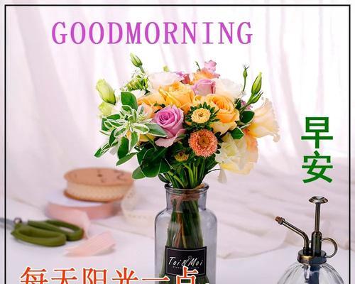《周末的晨光》——用心感受，让生活更美好