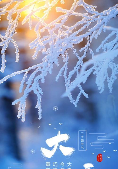 大雪节气，银装素裹（冬日寒冬）