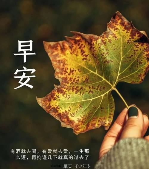 迎接2024，励志早安语（用唯美短句点亮新的一年）