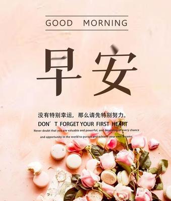 用美丽的语言，记录新年的感悟（用美丽的语言）