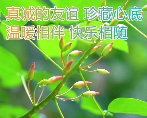 寒冬暖心，早安问候（用25个唯美短句）