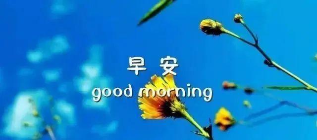 25个唯美短句，送你一份美好（25个唯美短句）