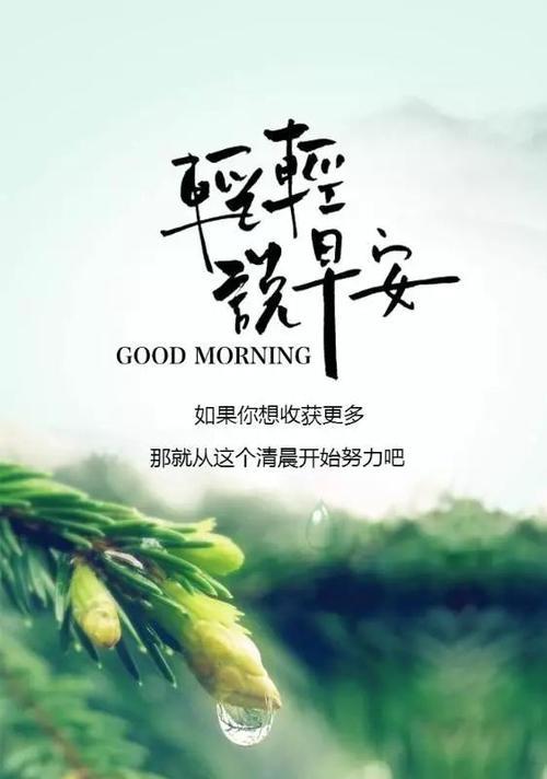 用努力铸就辉煌，用梦想创造未来（用努力铸就辉煌）