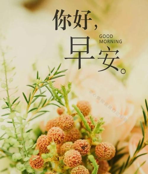 清晨的美好，唯美的句子助你迎接新的一天（25个精选句子）