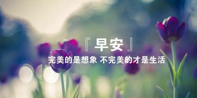 早安，阳光（用唯美短句传递早晨的温暖）