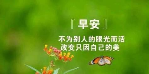 美丽的自然之礼（美丽的自然之礼）