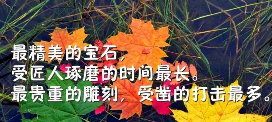 唯美回忆，珍藏心灵（唯美回忆）