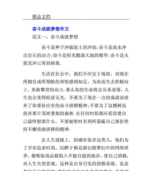 （《追逐梦想的路上》）