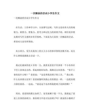 一次快乐的尝试作文怎么写（《一次快乐的尝试》）