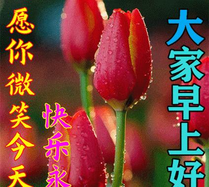 送上一份爱的礼物，让温馨在心中绽放（送上一份爱的礼物）