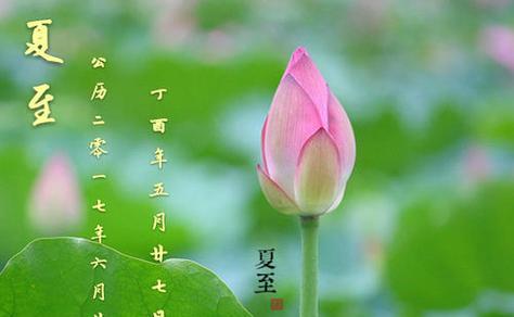 夏至花香醉人——以夏至节气经典句子为主题的唯美短句文章