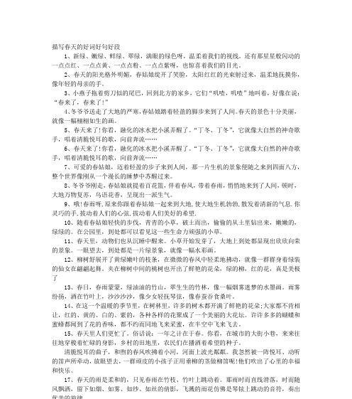 夏日诗意：细节里的美好