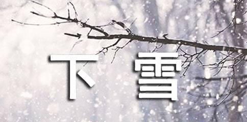 素雪美景（清新如初梅）