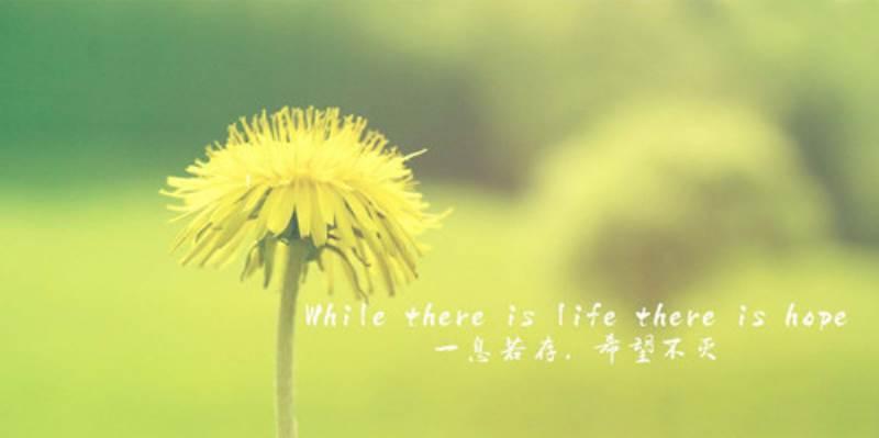 细雨绵绵，唯美如诗（倾听细雨的声音）