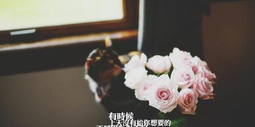 希望的美丽：寻找内心的阳光