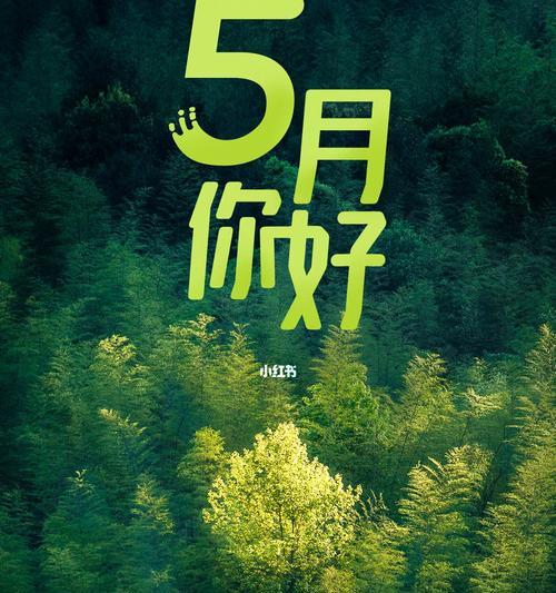 五月你好，我的心情因你而温暖。——《五月你好》
