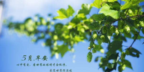 五月你好，绽放美丽。