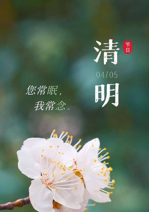 2024清明悼念亲人（2024清明悼念亲人）