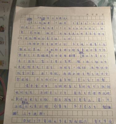 （《最美的时光——快乐》）