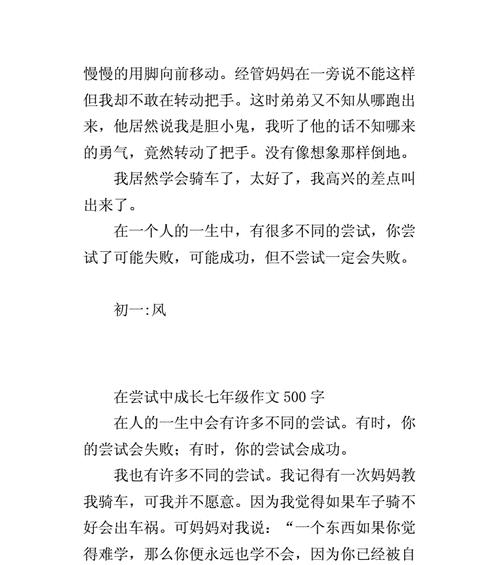 （《一次冒险的尝试》）