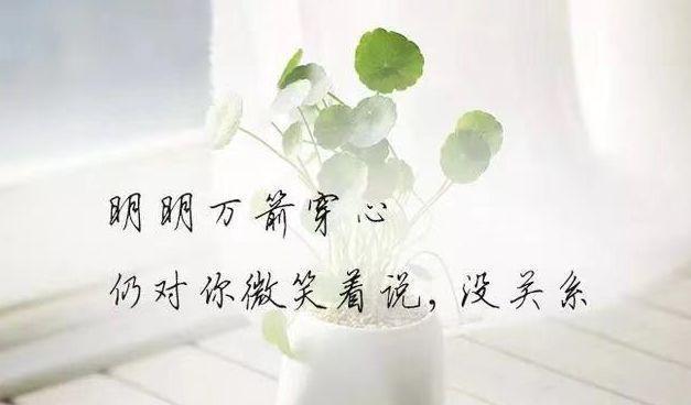 《心灵之美》