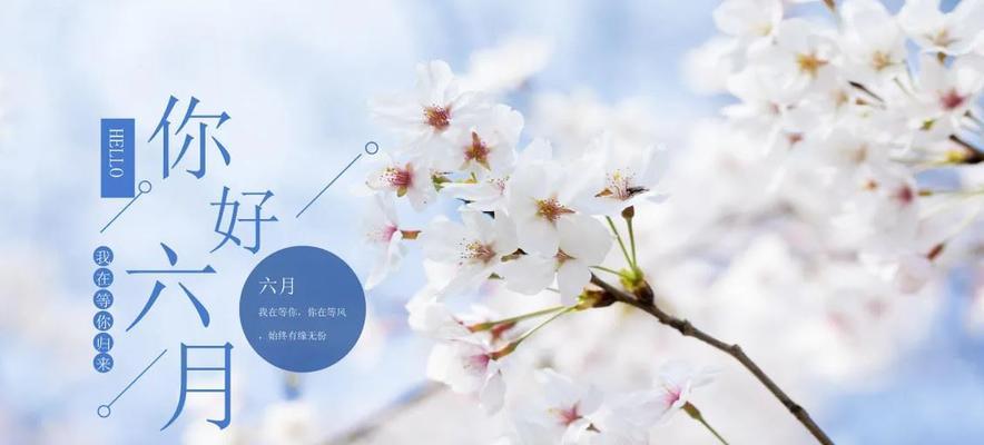 五月，我眼中的唯美（恬静如少女）