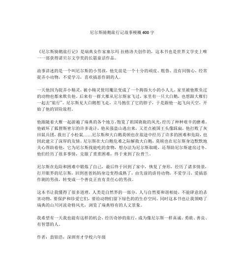 （《梦想路上的梗阻》）