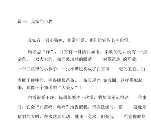 以猫为题目怎么写（《国宝大熊猫的奇妙冒险》）