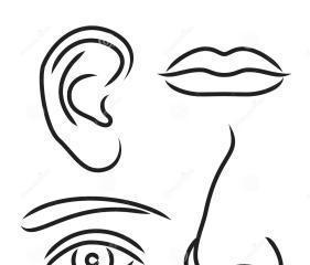 以画鼻子为话题的作文怎么写（《TheArtofNoseDrawing》）