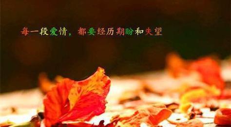 痛苦中的美（唯美短句集）