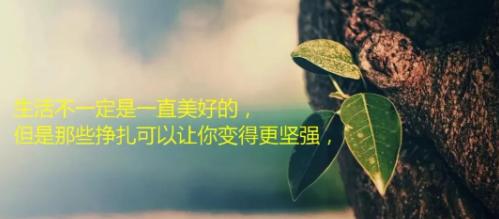 时光匆匆，岁月静好（感慨人生）