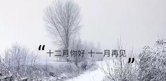 11月再见12月你好——一场不舍的告别