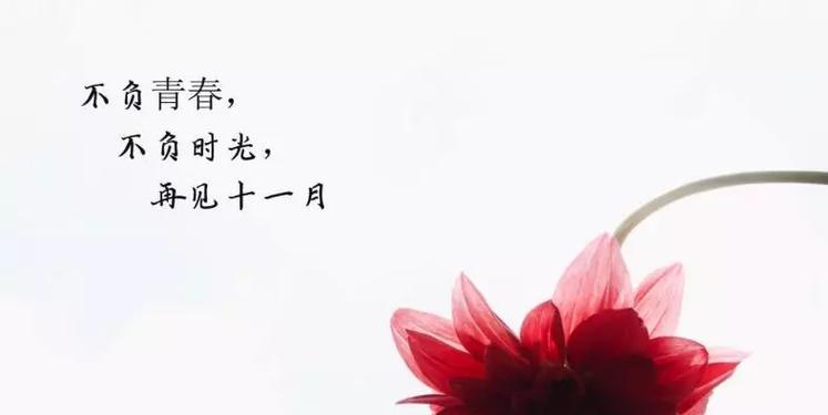 《岁月无声》——纪念十月