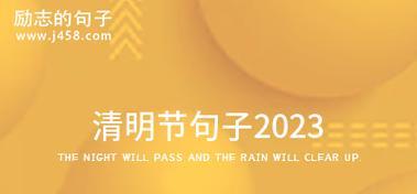 2024清明，悼念与思念（春风吹落樱花）