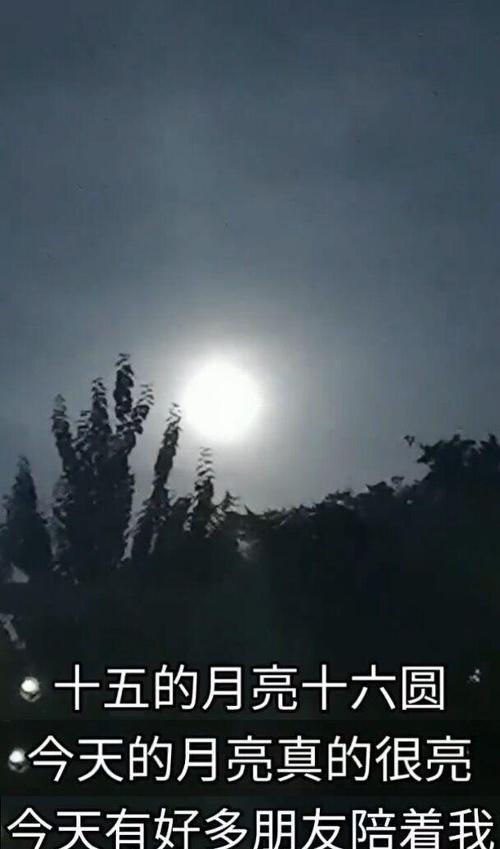 有关我的女神老师的作文怎么写（《女神老师的魅力》）