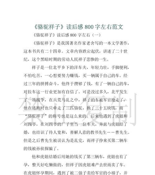 （《骆驼的奇妙旅程》）
