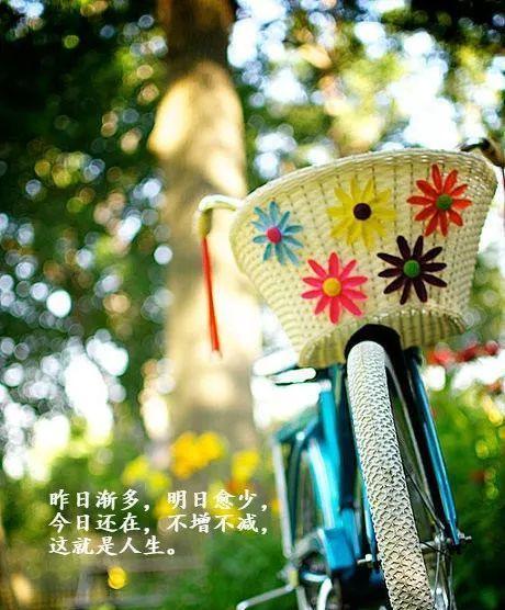 文艺唯美：朋友圈走心句子
