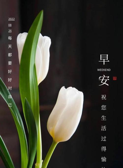 拥抱阳光，迎接美好生活（25个唯美短句）