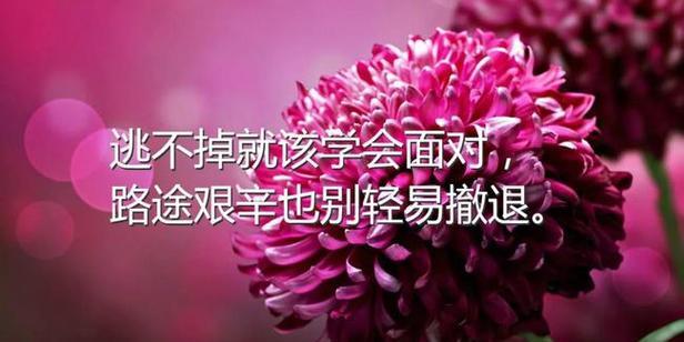 唯美励志句子（激发内心深处的激情）
