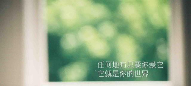永不放弃，追逐梦想（用励志名言点亮人生之路）