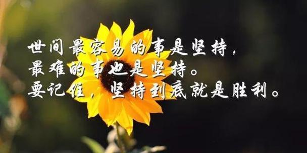 唯美短句，点燃人生激情（唯美短句）