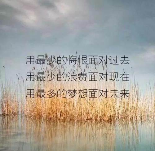 改变人生的决心——以励志名言为主题（以决心迈向成功的路程）