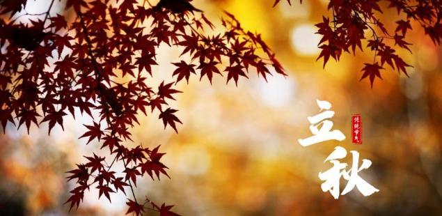 秋意渐浓（以立秋为序）