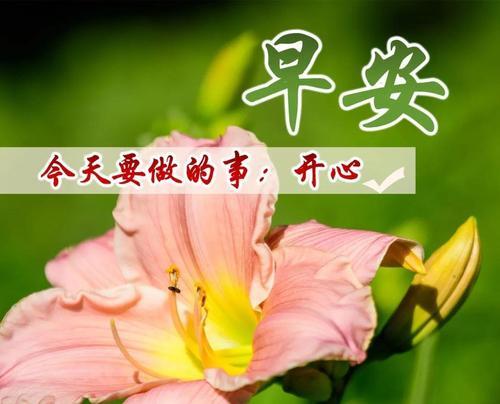 迈步新年，启航新梦想（迈步新年）