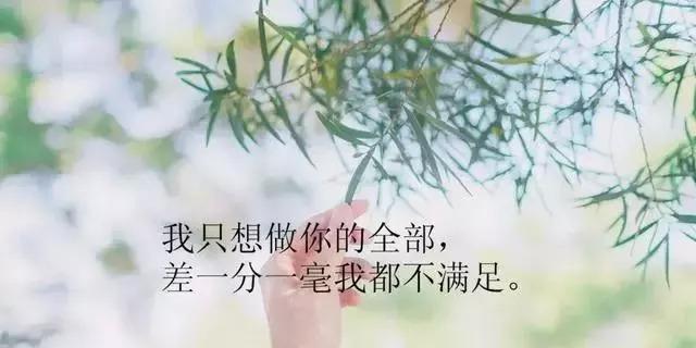 2033，我们的梦想之年（不忘初心）