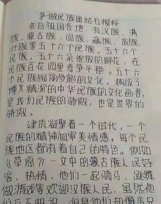 以民族团结为主题的作文怎么写（《共享繁荣，同心协力》）